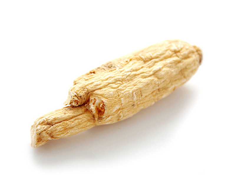 Aralia sustraia potentziarako