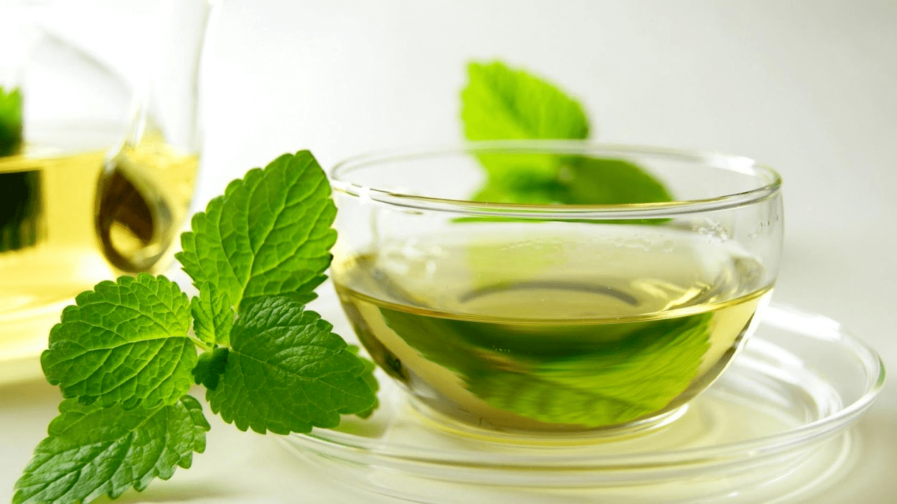 belar tea potentzia handitzeko