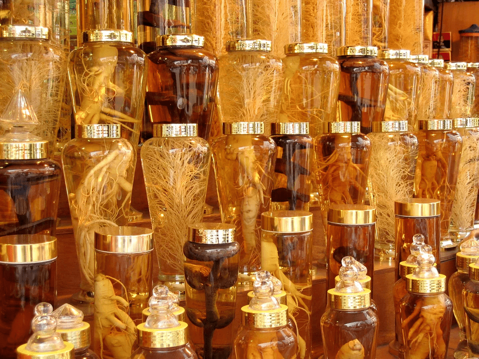 ginseng erro potentzia handitzeko